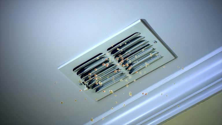 Best HVAC Air Duct Cleaning  in Fayette, OH
