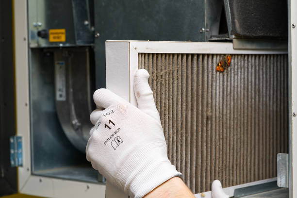 Best Air Duct Cleaning Near Me  in Fayette, OH
