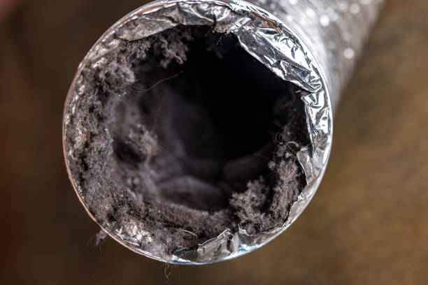 Best Residential Air Duct Cleaning  in Fayette, OH