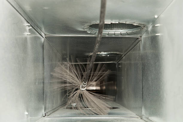 Best Air Duct Sanitizing Services  in Fayette, OH